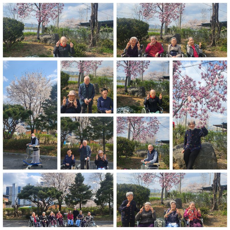 봄이 오면  정원에 나가