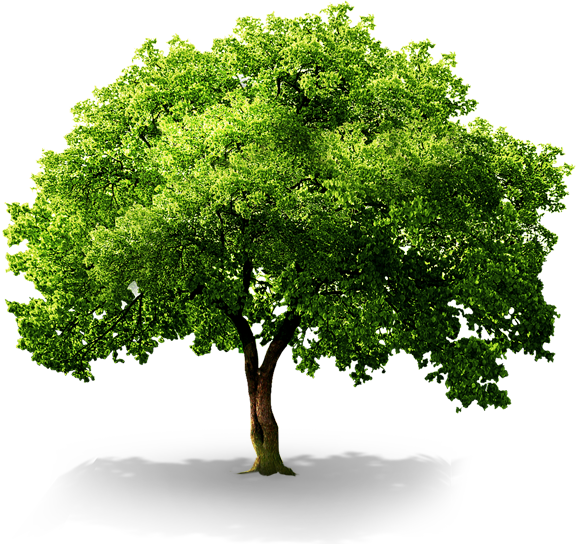 플래티늄 강원춘천점